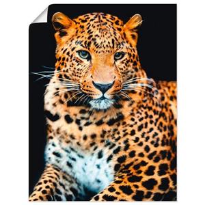 Artland Artprint Woedende wilde luipaard als artprint van aluminium, artprint op linnen, muursticker of poster in verschillende maten