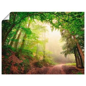 Artland Artprint Natuurlijke bogen door bomen als artprint van aluminium, artprint op linnen, muursticker of poster in verschillende maten