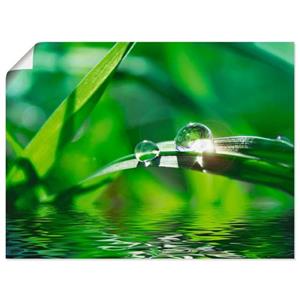 Artland Artprint Groene achtergrond met gras als artprint van aluminium, artprint op linnen, muursticker of poster in verschillende maten