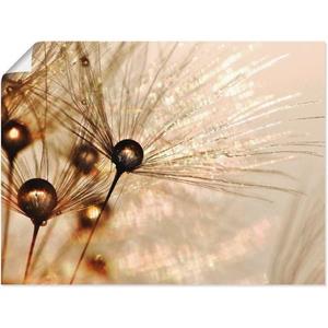 Artland Artprint Pluizenbol gouden druppels als artprint van aluminium, artprint op linnen, muursticker of poster in verschillende maten