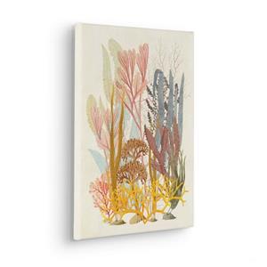Komar Artprint Coral Aqua (1 stuk)