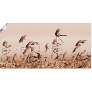 Artland Artprint Grassen als artprint van aluminium, artprint op linnen, muursticker of poster in verschillende maten