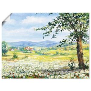 Artland Artprint Margrietenveld als artprint op linnen, muursticker of poster in verschillende maten