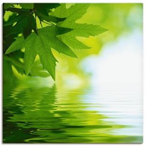 Artland Artprint Groene blaadjes reflecteren in het water als artprint van aluminium, artprint op linnen, muursticker of poster in verschillende maten
