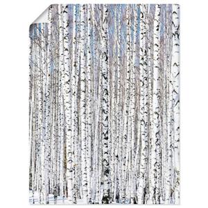 Artland Artprint Winter berkenbos winter sereniteit als artprint van aluminium, artprint op linnen, muursticker of poster in verschillende maten