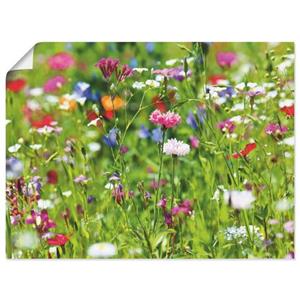 Artland Artprint Bloemenweide I als artprint op linnen, muursticker of poster in verschillende maten