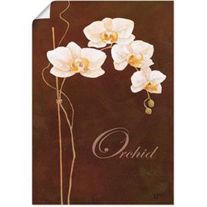 Artland Artprint Fijne orchidee als artprint van aluminium, artprint op linnen, muursticker of poster in verschillende maten