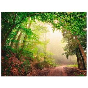 Artland Artprint Natuurlijke bogen door bomen als artprint van aluminium, artprint op linnen, muursticker of poster in verschillende maten