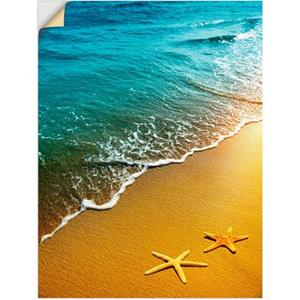 Artland Artprint Zeesterren als artprint van aluminium, artprint op linnen, muursticker of poster in verschillende maten