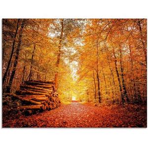 Artland Print op glas Herfstlandschap in verschillende maten