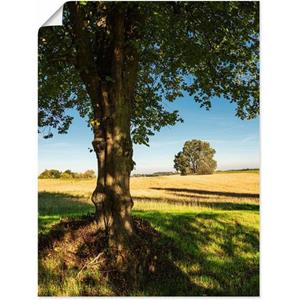 Artland Artprint Veld en bomen bij Hohen Demzin als artprint van aluminium, artprint op linnen, muursticker of poster in verschillende maten