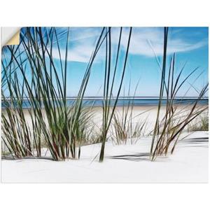 Artland Artprint Duin als artprint op linnen, muursticker of poster in verschillende maten