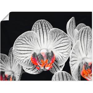 Artland Artprint Orchidee abstracte collage IV als artprint op linnen, muursticker of poster in verschillende maten