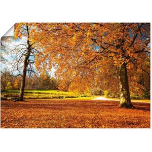Artland Artprint Herfst bij slot Nymphenburg als artprint van aluminium, artprint op linnen, muursticker of poster in verschillende maten