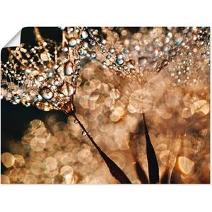 Artland Wandbild "Pusteblume Goldschimmer", Blumen, (1 St.)