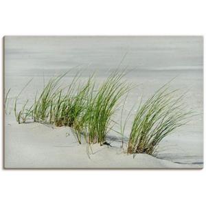Artland Artprint Grassen aan het strand als artprint van aluminium, artprint op linnen, muursticker of poster in verschillende maten