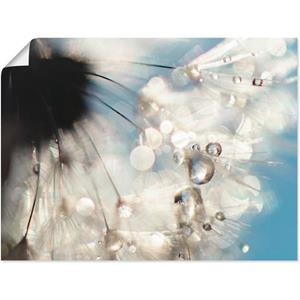 Artland Artprint Pluizenbol engelenvleugel als artprint van aluminium, artprint op linnen, muursticker of poster in verschillende maten