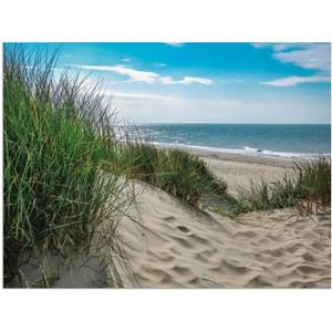 Artland Artprint Duinlandschap in de zomer aan de Noordzee als artprint van aluminium, artprint op linnen, muursticker of poster in verschillende maten