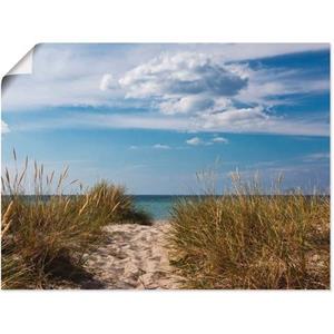 Artland Artprint Oostzeestrand in Denemarken als artprint van aluminium, artprint op linnen, muursticker of poster in verschillende maten