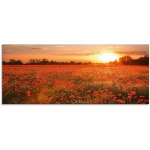 Artland Print op glas Klaprozenveld bij zonsondergang in verschillende maten