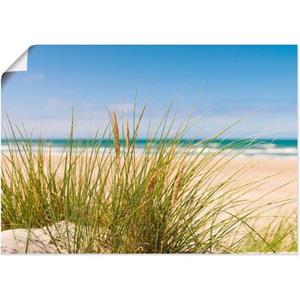 Artland Artprint Duingras als artprint van aluminium, artprint op linnen, muursticker of poster in verschillende maten