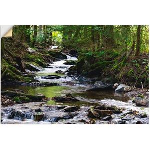 Artland Artprint Loop van de beek in het bos als artprint van aluminium, artprint voor buiten, artprint op linnen, poster, muursticker