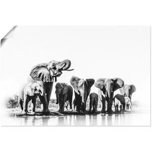 Artland Artprint Olifanten bij de waterpoel als artprint van aluminium, artprint op linnen, muursticker of poster in verschillende maten