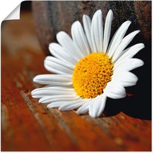 Artland Artprint Margrieten stilleven als artprint op linnen, muursticker of poster in verschillende maten