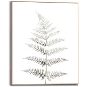 Reinders! Wanddecoratie Varen plant - natuur - botanisch