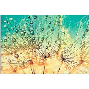 Artland Artprint Pluizenbol druppelmagie als artprint van aluminium, artprint voor buiten, artprint op linnen, poster, muursticker