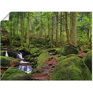 Artland Artprint Toverbos als artprint op linnen, muursticker of poster in verschillende maten