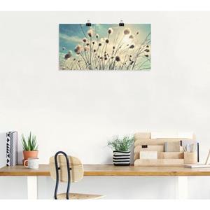 Artland Artprint Wolgras als artprint van aluminium, artprint op linnen, muursticker of poster in verschillende maten