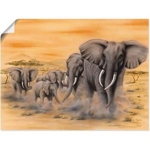 Artland Artprint Olifanten op de steppe als artprint van aluminium, artprint op linnen, muursticker of poster in verschillende maten