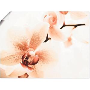 Artland Artprint Orchidee abstracte collage als artprint op linnen, muursticker of poster in verschillende maten