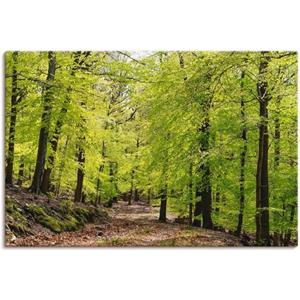 Artland Artprint De beuken in de lente als artprint van aluminium, artprint voor buiten, artprint op linnen, poster, muursticker