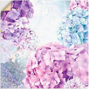 Artland Artprint Blauw en pink hortensia als artprint van aluminium, artprint op linnen, muursticker of poster in verschillende maten