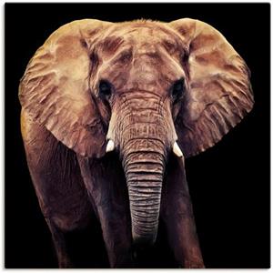 Artland Artprint Olifant als artprint op linnen, muursticker of poster in verschillende maten