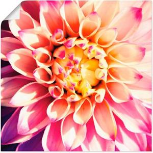 Artland Artprint Dahlia als artprint op linnen, muursticker of poster in verschillende maten