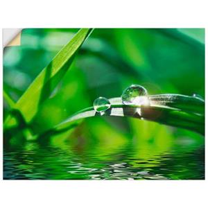 Artland Artprint Groene achtergrond met gras als artprint van aluminium, artprint op linnen, muursticker of poster in verschillende maten
