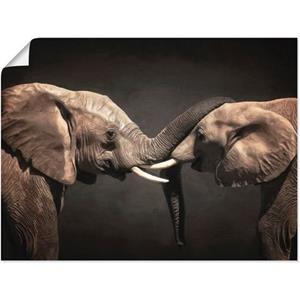 Artland Artprint Twee olifanten als artprint op linnen, muursticker of poster in verschillende maten
