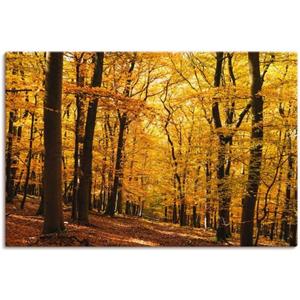 Artland Artprint Wandeling in herfstbos als artprint van aluminium, artprint voor buiten, artprint op linnen, poster in verschillende maten. maten