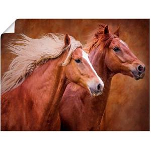 Artland Artprint Raszuivere paarden I als artprint van aluminium, artprint op linnen, muursticker of poster in verschillende maten