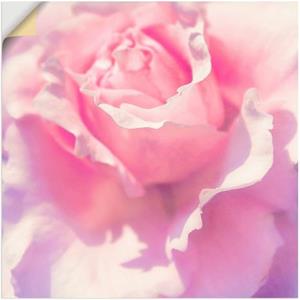 Artland Artprint Roze als artprint van aluminium, artprint op linnen, muursticker of poster in verschillende maten