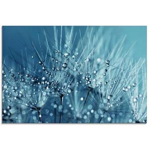 Artland Print op glas Blauwe glinsterende pluizenbol in verschillende maten