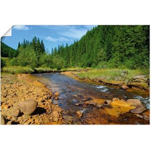 Artland Artprint Rivier Neagra, Caliman-nationaalpark als artprint van aluminium, artprint op linnen, muursticker of poster in verschillende maten