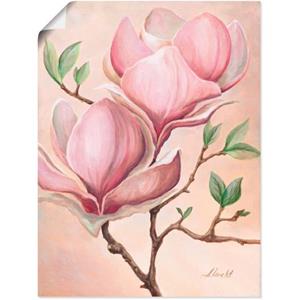 Artland Artprint Magnoliabloemen als artprint van aluminium, artprint op linnen, muursticker of poster in verschillende maten