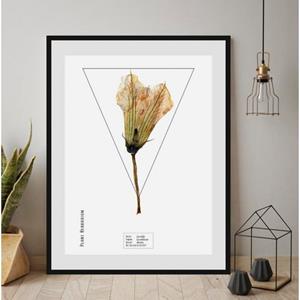 Queence Wanddecoratie Cucurbita (1 stuk)