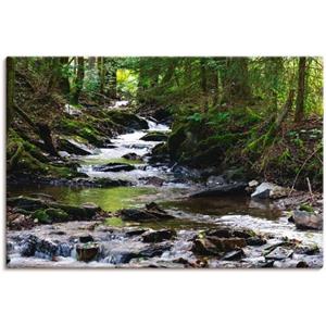 Artland Artprint Loop van de beek in het bos als artprint van aluminium, artprint voor buiten, artprint op linnen, poster, muursticker