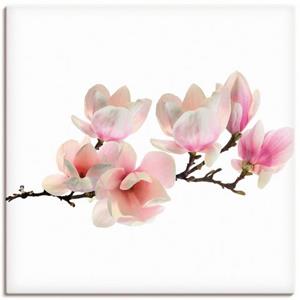 Artland Artprint MAGNOLIE als artprint van aluminium, artprint op linnen, muursticker of poster in verschillende maten