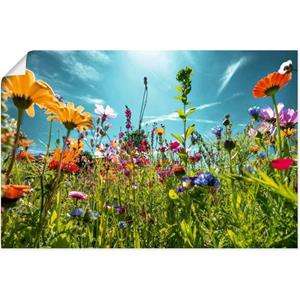 Artland Artprint Kleurrijk bloemenveld als artprint van aluminium, artprint op linnen, muursticker of poster in verschillende maten